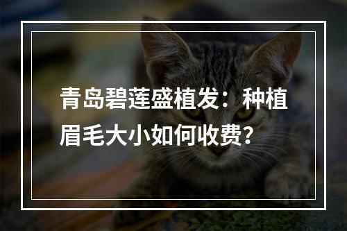 青岛碧莲盛植发：种植眉毛大小如何收费？