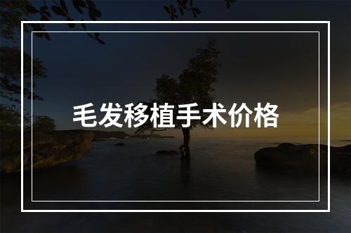 毛发移植手术价格