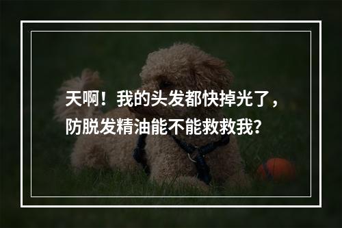 天啊！我的头发都快掉光了，防脱发精油能不能救救我？