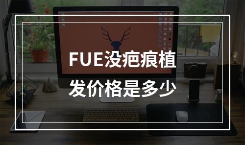 FUE没疤痕植发价格是多少