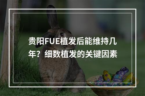 贵阳FUE植发后能维持几年？细数植发的关键因素