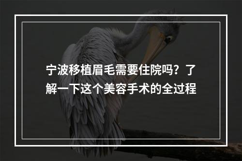 宁波移植眉毛需要住院吗？了解一下这个美容手术的全过程