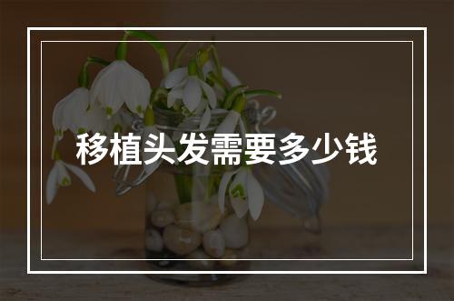 移植头发需要多少钱