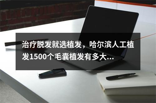 治疗脱发就选植发，哈尔滨人工植发1500个毛囊植发有多大面积？