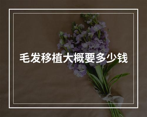 毛发移植大概要多少钱