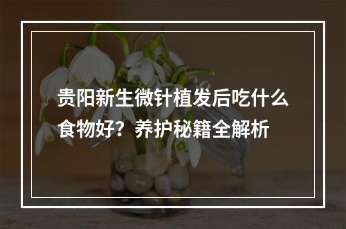 贵阳新生微针植发后吃什么食物好？养护秘籍全解析