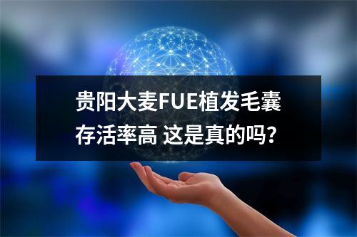 贵阳大麦FUE植发毛囊存活率高 这是真的吗？