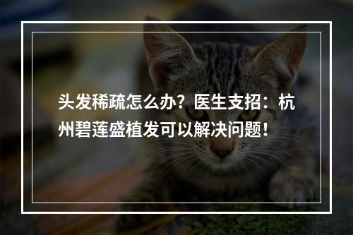 头发稀疏怎么办？医生支招：杭州碧莲盛植发可以解决问题！