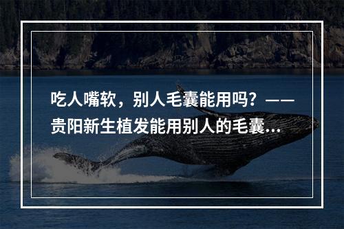 吃人嘴软，别人毛囊能用吗？——贵阳新生植发能用别人的毛囊吗？