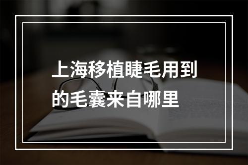 上海移植睫毛用到的毛囊来自哪里