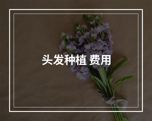 头发种植 费用