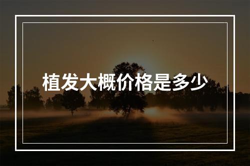 植发大概价格是多少