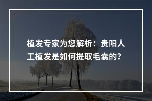 植发专家为您解析：贵阳人工植发是如何提取毛囊的？