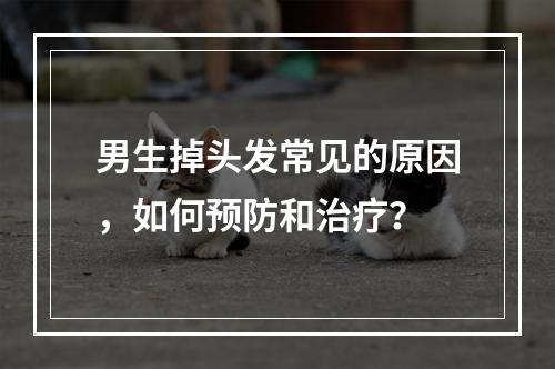 男生掉头发常见的原因，如何预防和治疗？