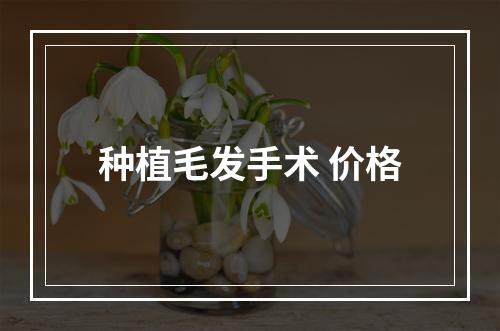 种植毛发手术 价格