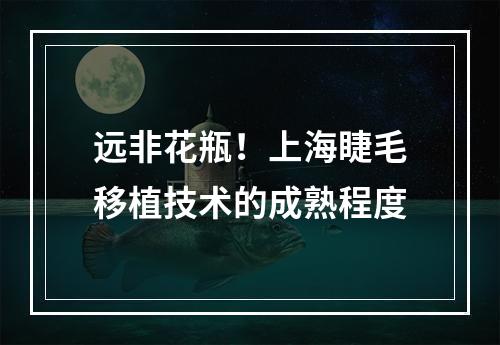 远非花瓶！上海睫毛移植技术的成熟程度