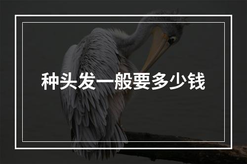 种头发一般要多少钱