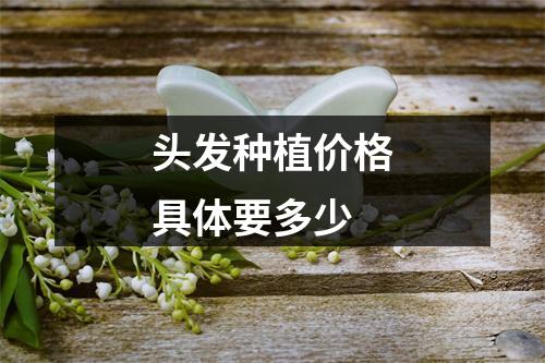 头发种植价格具体要多少