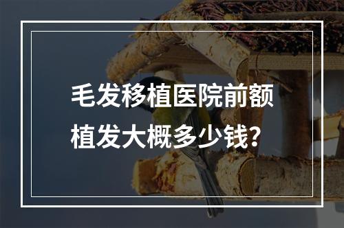 毛发移植医院前额植发大概多少钱？