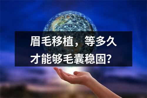 眉毛移植，等多久才能够毛囊稳固？