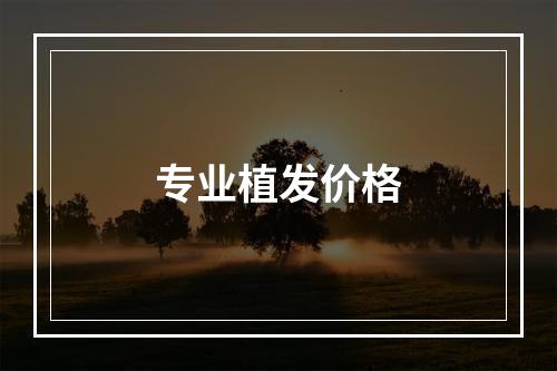 专业植发价格