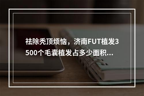 祛除秃顶烦恼，济南FUT植发3500个毛囊植发占多少面积？