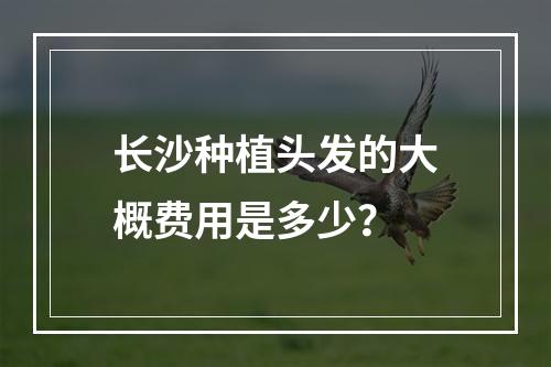 长沙种植头发的大概费用是多少？