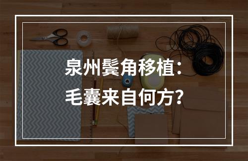 泉州鬓角移植：毛囊来自何方？