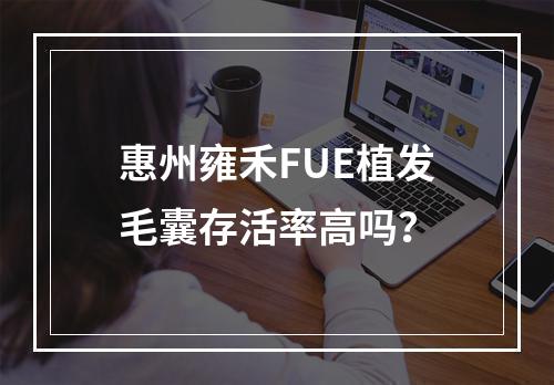 惠州雍禾FUE植发毛囊存活率高吗？