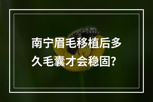 南宁眉毛移植后多久毛囊才会稳固？