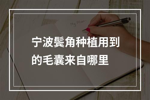 宁波鬓角种植用到的毛囊来自哪里