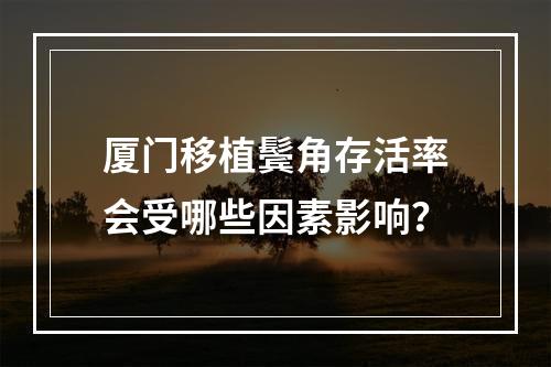 厦门移植鬓角存活率会受哪些因素影响？