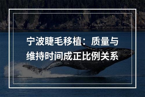 宁波睫毛移植：质量与维持时间成正比例关系