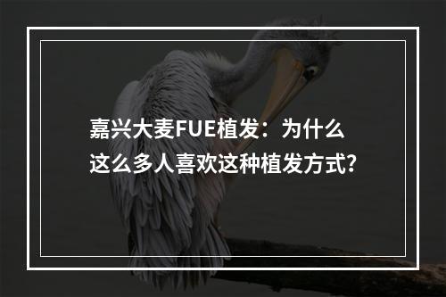 嘉兴大麦FUE植发：为什么这么多人喜欢这种植发方式？