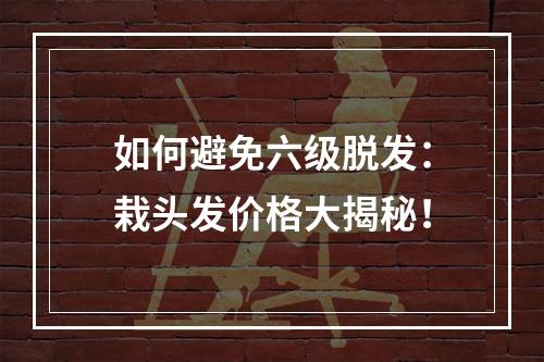 如何避免六级脱发：栽头发价格大揭秘！