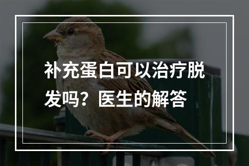 补充蛋白可以治疗脱发吗？医生的解答