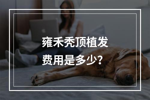 雍禾秃顶植发费用是多少？