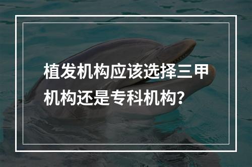 植发机构应该选择三甲机构还是专科机构？