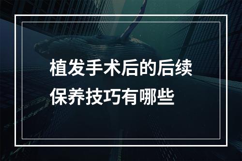 植发手术后的后续保养技巧有哪些