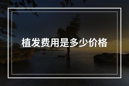 植发费用是多少价格