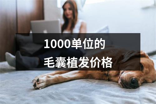 1000单位的毛囊植发价格