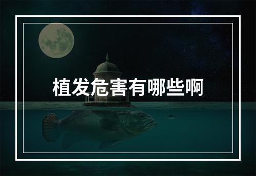 植发危害有哪些啊