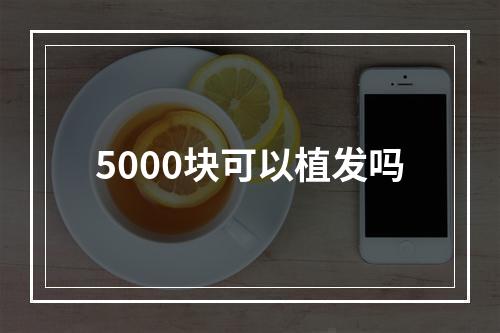 5000块可以植发吗