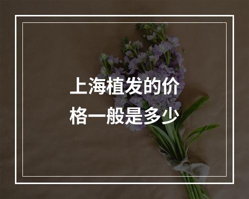 上海植发的价格一般是多少