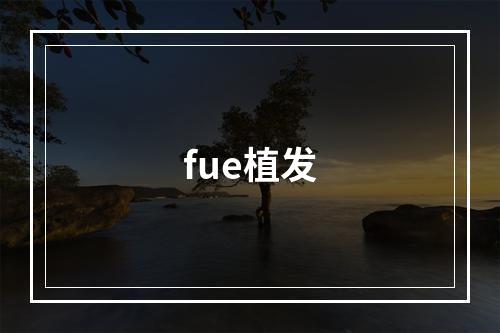 fue植发