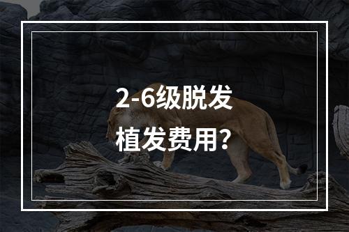 2-6级脱发植发费用？