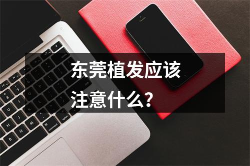 东莞植发应该注意什么？