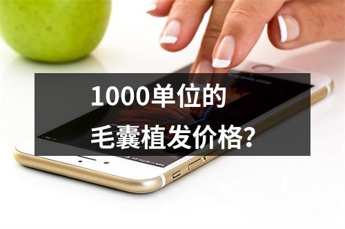 1000单位的毛囊植发价格？