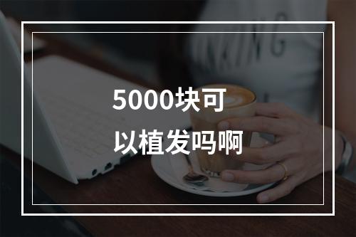 5000块可以植发吗啊