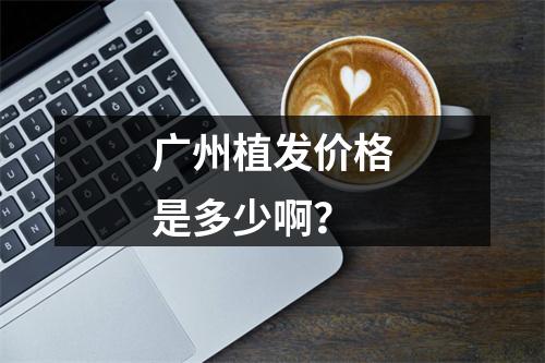 广州植发价格是多少啊？